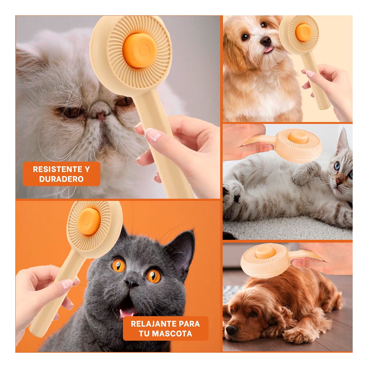 PACK6 APLICADOR INTERACTIVO PARA GATO Y PERRO QUE SUAVIZA PELO NARANJA - 2