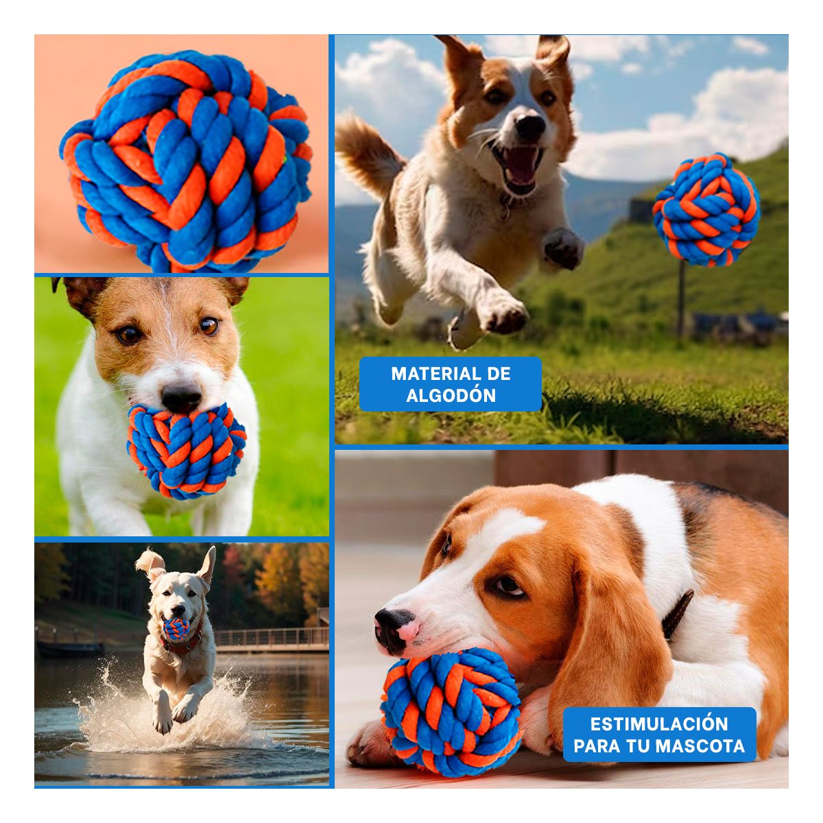 PACK12 PELOTA DIVERTIDA QUE PROMUEVE ENERGIA Y ENTRETENIMIENTO AZUL NARANJA Y+PAPEL REGALO - 2