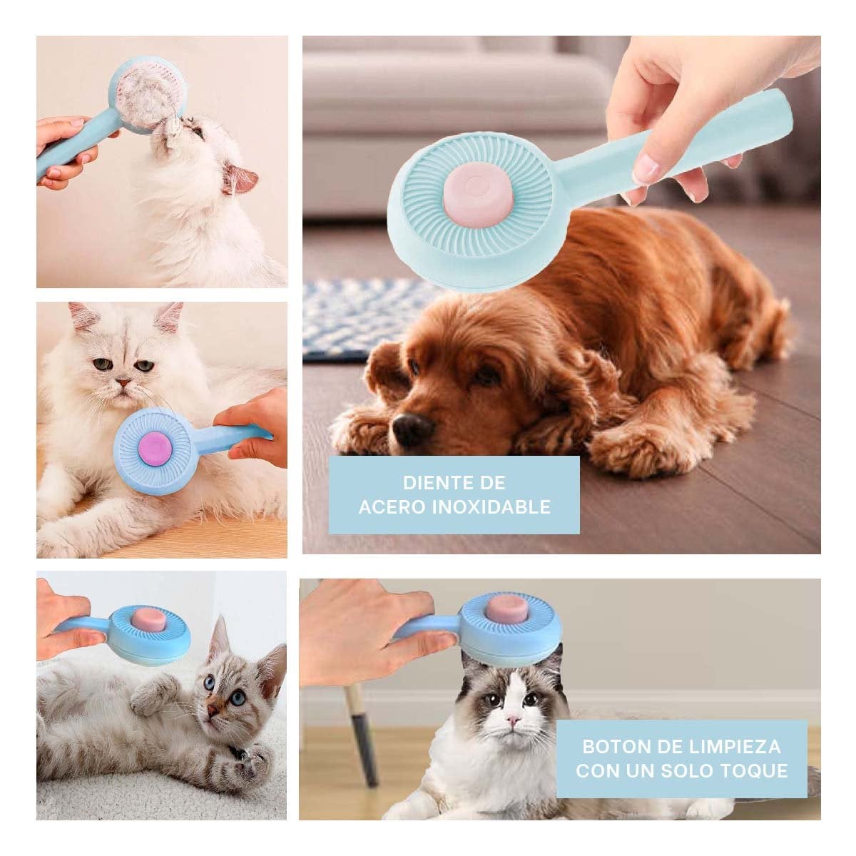 PACK4 UTENSILIO PARA MASAJE Y PELO SUAVE DE MASCOTAS CELESTE Y+REGALO STICKER - 2