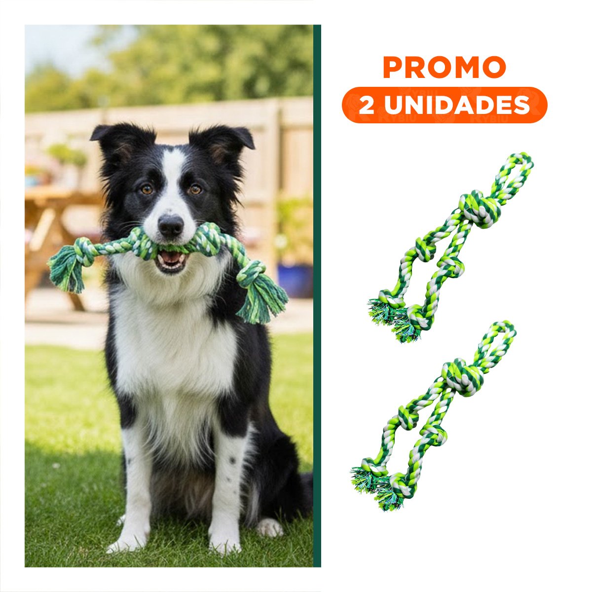 PACK2 CINTA INTERACTIVA QUE FORTALECE DIENTES Y MANTIENE ACTIVOS VERDE - 1
