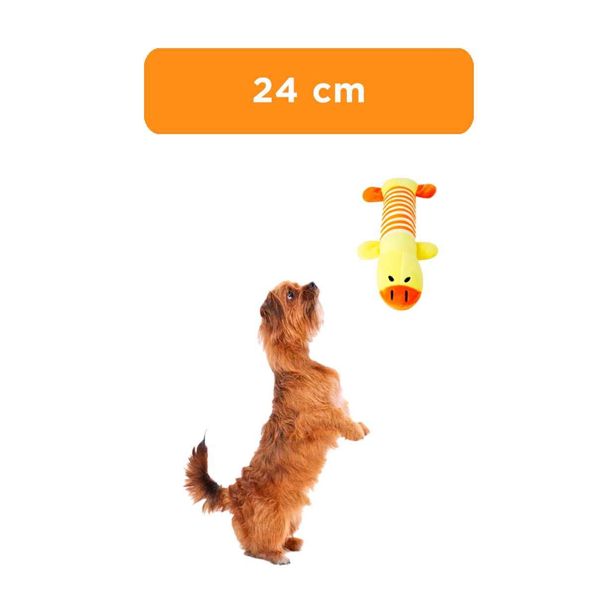 PACK12 ACCESORIO DE JUEGO PATO PARA MASCOTAS AMARRILLO Y NARANJA Y+REGALO STICKER - 4