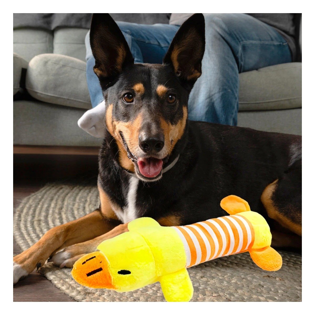 PACK12 ACCESORIO DE JUEGO PATO PARA MASCOTAS AMARRILLO Y NARANJA Y+REGALO STICKER - 5