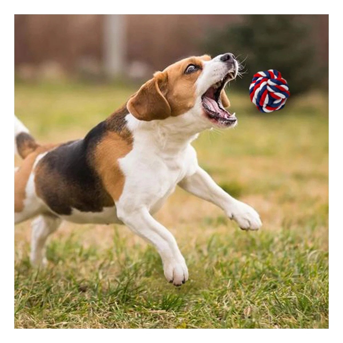 PACK2 BOLA DE SOGA TRENZADA QUE MANTIENE ACTIVOS Y FELICES A PERROS AZUL BLANCO ROJO - 3