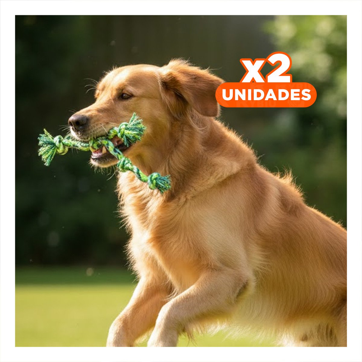 PACK2 CINTA RESISTENTE QUE SOPORTA TIRONES Y JUEGOS ACTIVOS VERDE Y+REGALO STICKER - 1