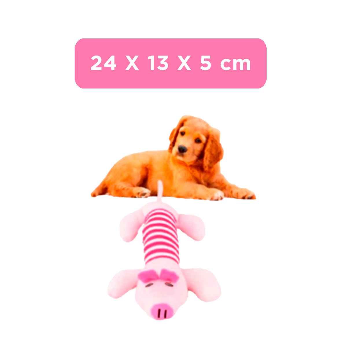 PACK2 ALIADO CHANCHO QUE MOTIVA MORDER Y EXPLORAR ROSADO Y FUCSIA Y+PAPEL REGALO - 4