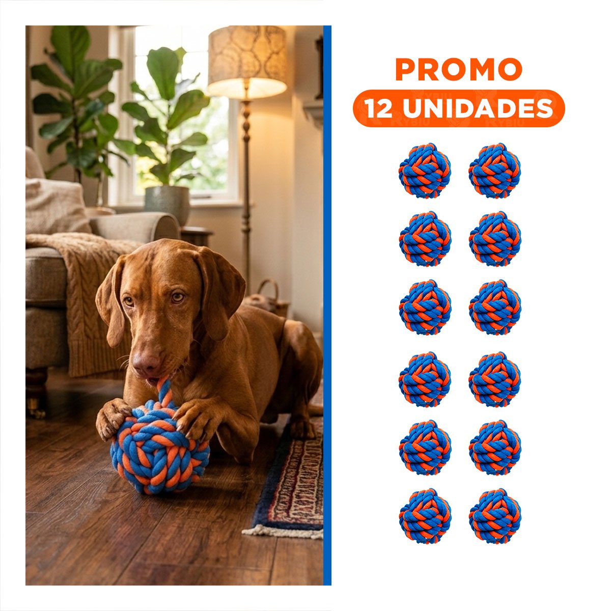 PACK12 JUGUETE REDONDO RESISTENTE QUE FORTALECE DIENTES AZUL NARANJA Y+REGALO STICKER - 1