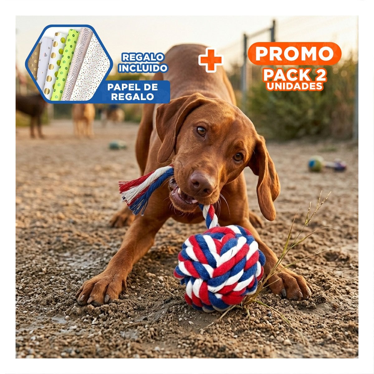 PACK2 BOLA INTERACTIVA QUE ESTIMULA JUEGO EN MASCOTAS AZUL BLANCO ROJO Y+PAPEL REGALO - 1