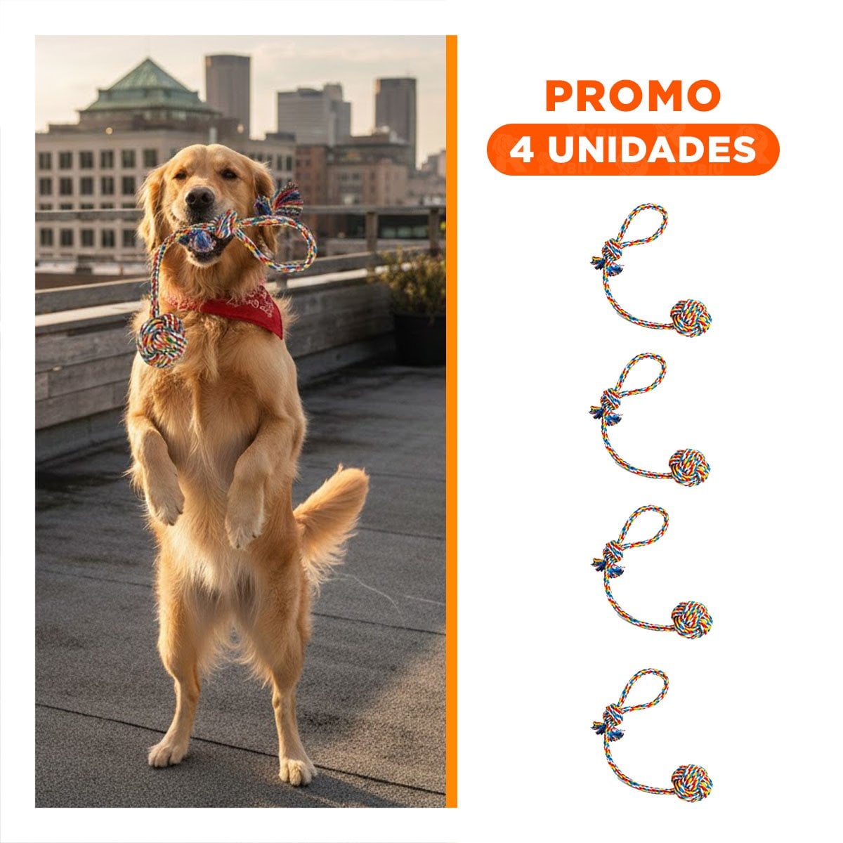 PACK4 OBJETO INTERACTIVO PARA MASCOTAS CON PELOTA Y SOGA MULTICOLOR Y+REGALO STICKER - 1