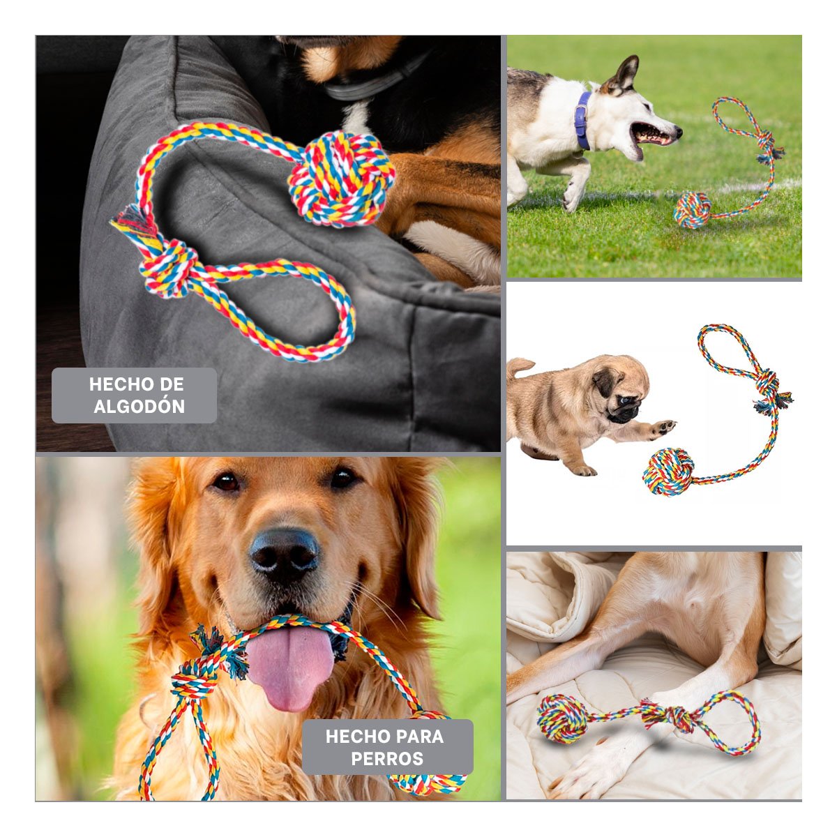 PACK4 OBJETO INTERACTIVO PARA MASCOTAS CON PELOTA Y SOGA MULTICOLOR Y+REGALO STICKER - 2