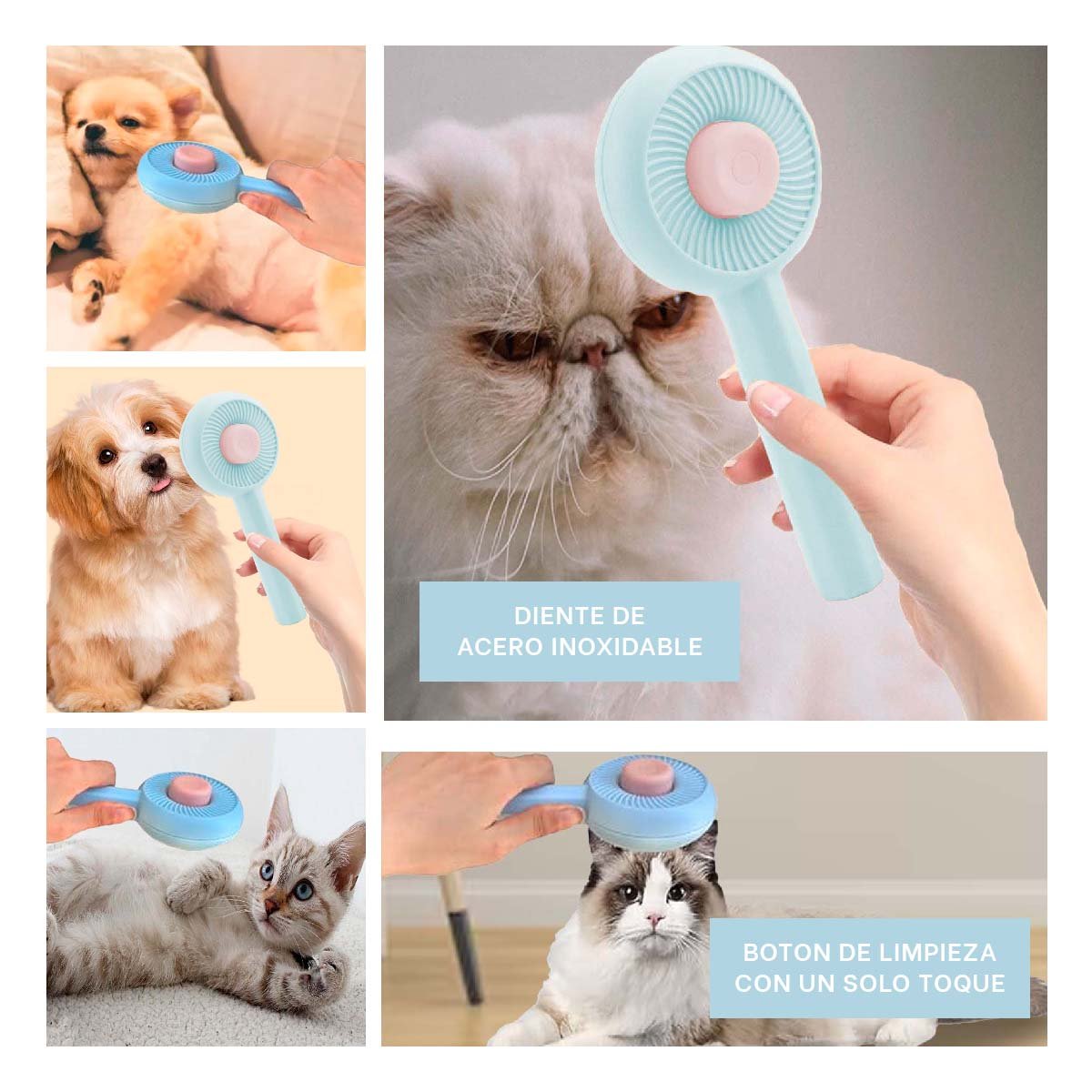 PACK12 ARTICULO PARA MASAJE Y LIMPIEZA DE PELO DE GATOS Y PERROS CELESTE Y+PAPEL REGALO - 2