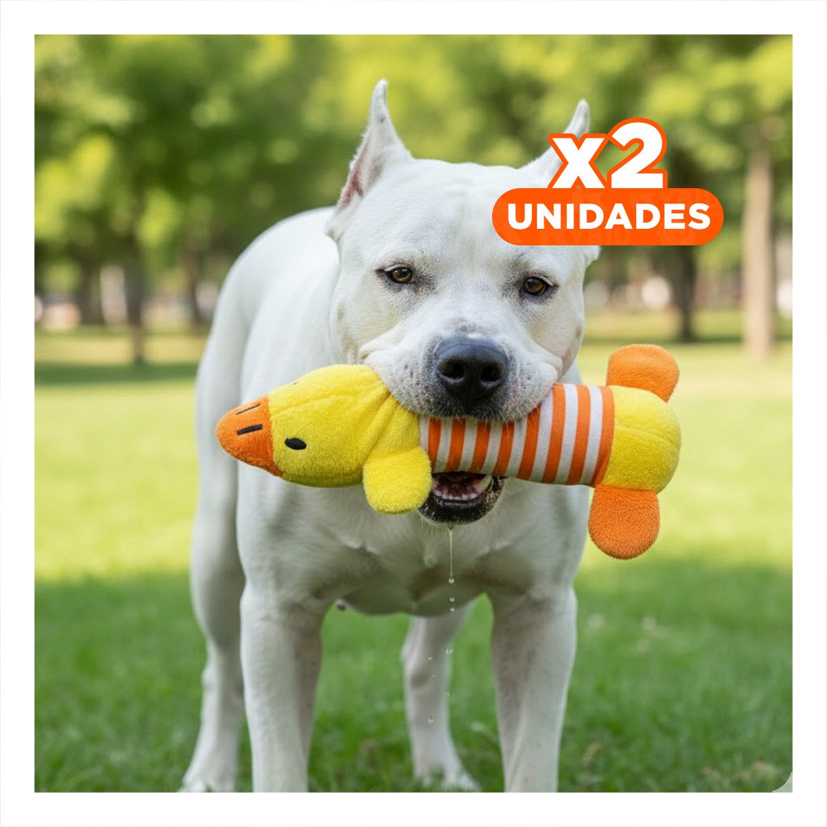 PACK2 ANIMAL PATO CON SONIDO Y TEXTURA SUAVE AMARRILLO Y NARANJA Y+REGALO STICKER - 1