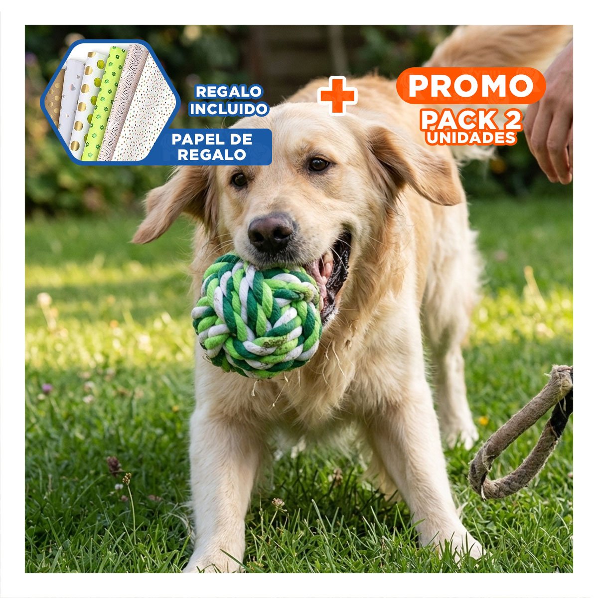 PACK2 BOLA INTERACTIVA QUE MANTIENE FELICES A PERROS VERDE Y+PAPEL REGALO - 1