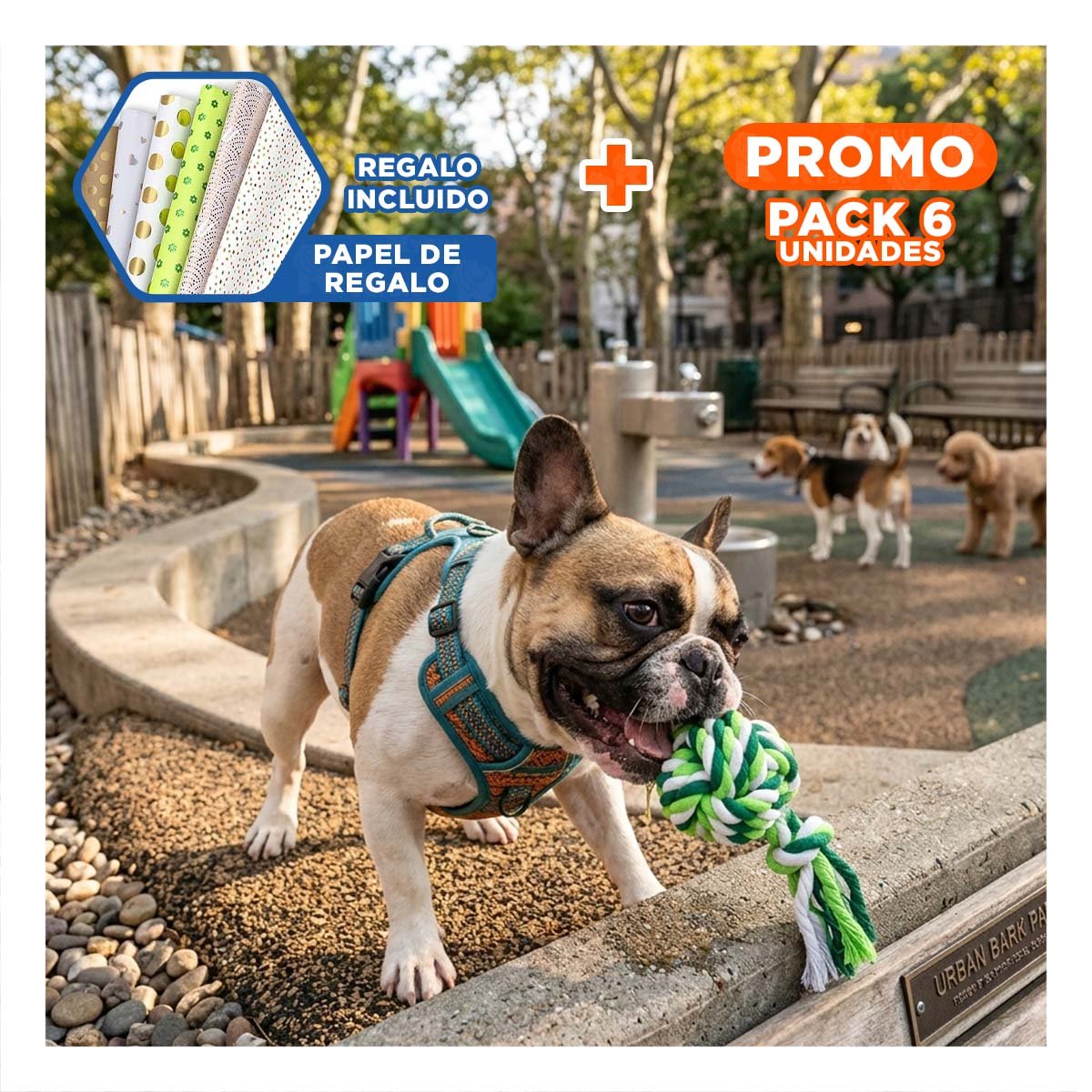 PACK6 HERRAMIENTA RESISTENTE QUE COMBINA DIVERSION Y ACTIVIDAD VERDE Y+PAPEL REGALO - 1
