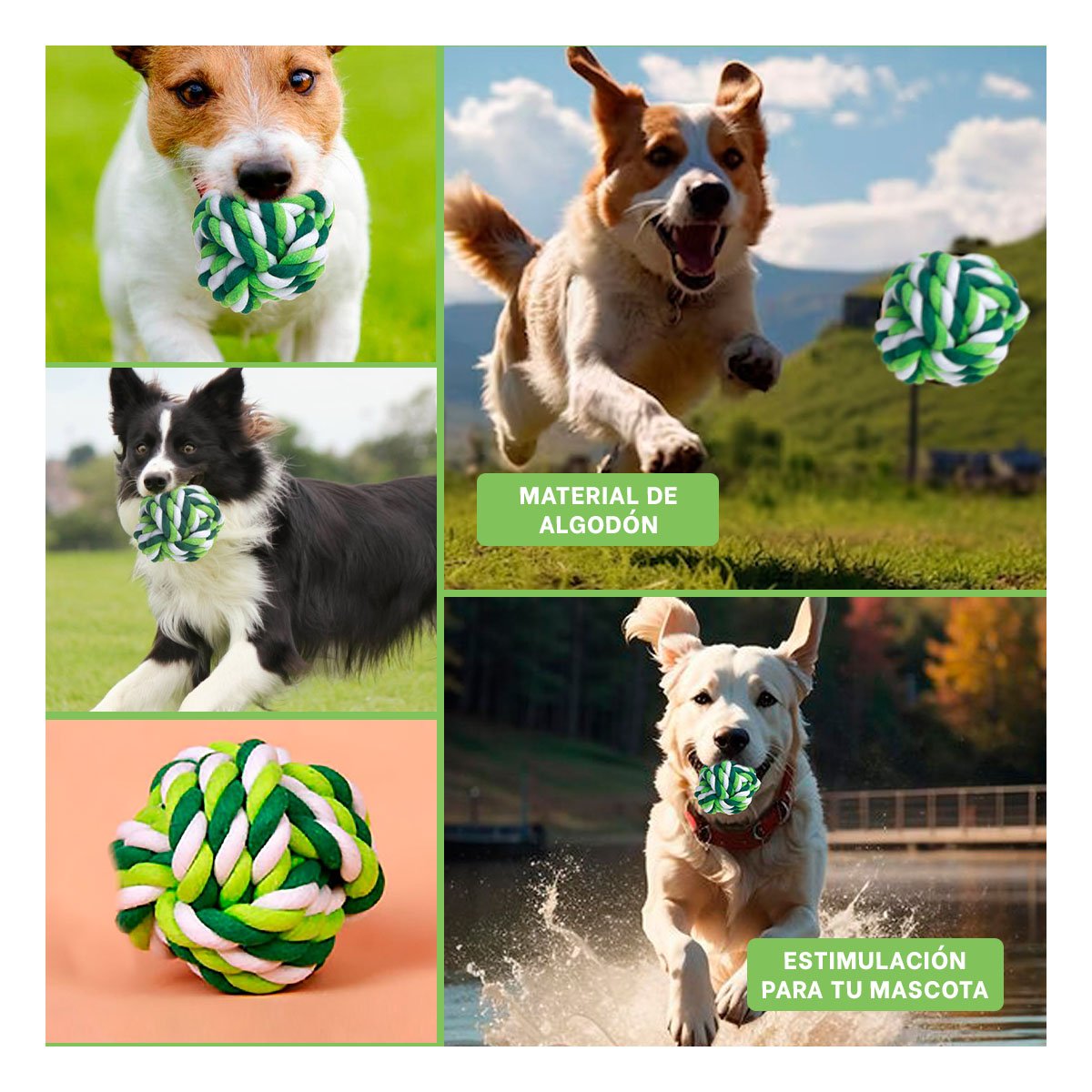 PACK6 HERRAMIENTA RESISTENTE QUE COMBINA DIVERSION Y ACTIVIDAD VERDE Y+PAPEL REGALO - 3
