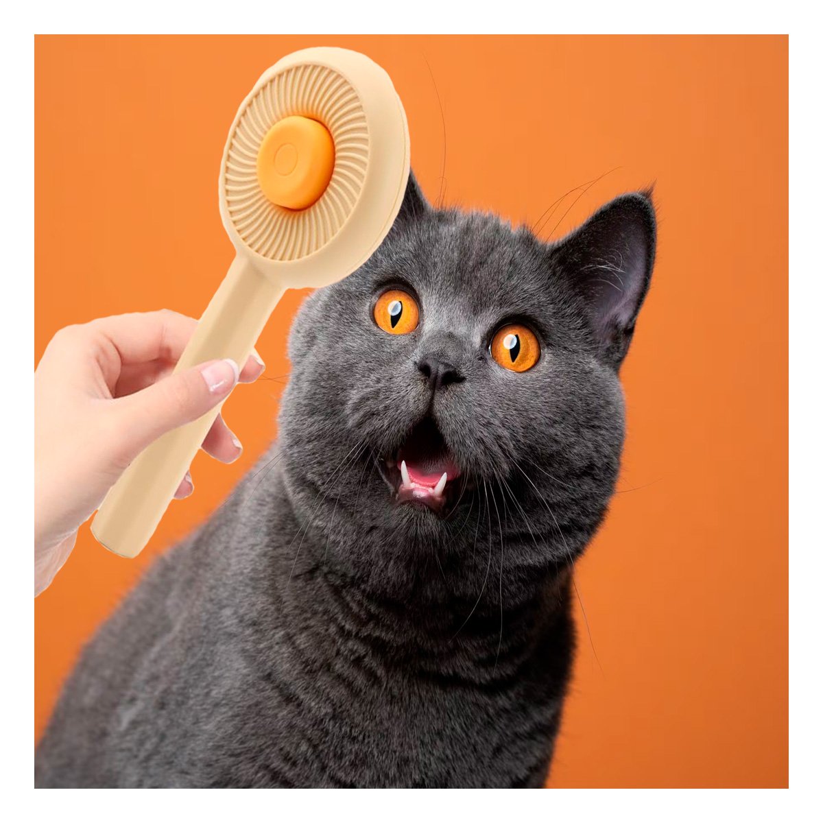 PACK2 HERRAMIENTA INTERACTIVA PARA CUIDADO DE MASCOTAS QUE SUAVIZA PELO NARANJA Y+PAPEL REGALO - 5