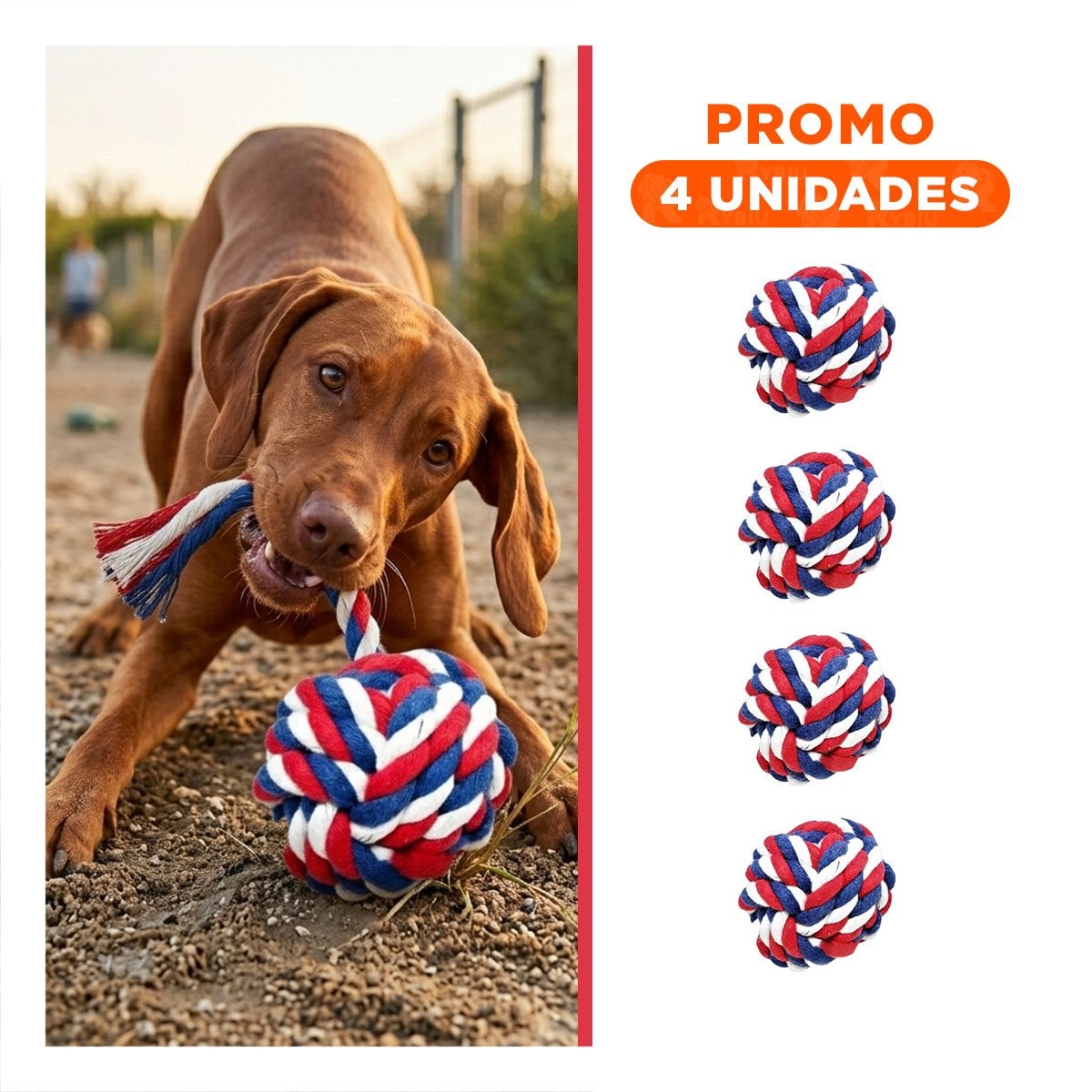 PACK4 CIRCULO DE SOGA QUE ESTIMULA DIVERSION A PERROS AZUL BLANCO ROJO Y+REGALO STICKER - 1
