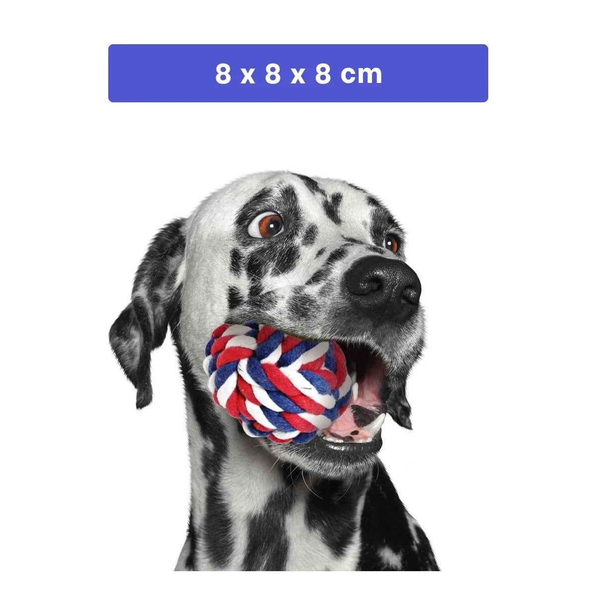 PACK4 CIRCULO DE SOGA QUE ESTIMULA DIVERSION A PERROS AZUL BLANCO ROJO Y+REGALO STICKER - 4