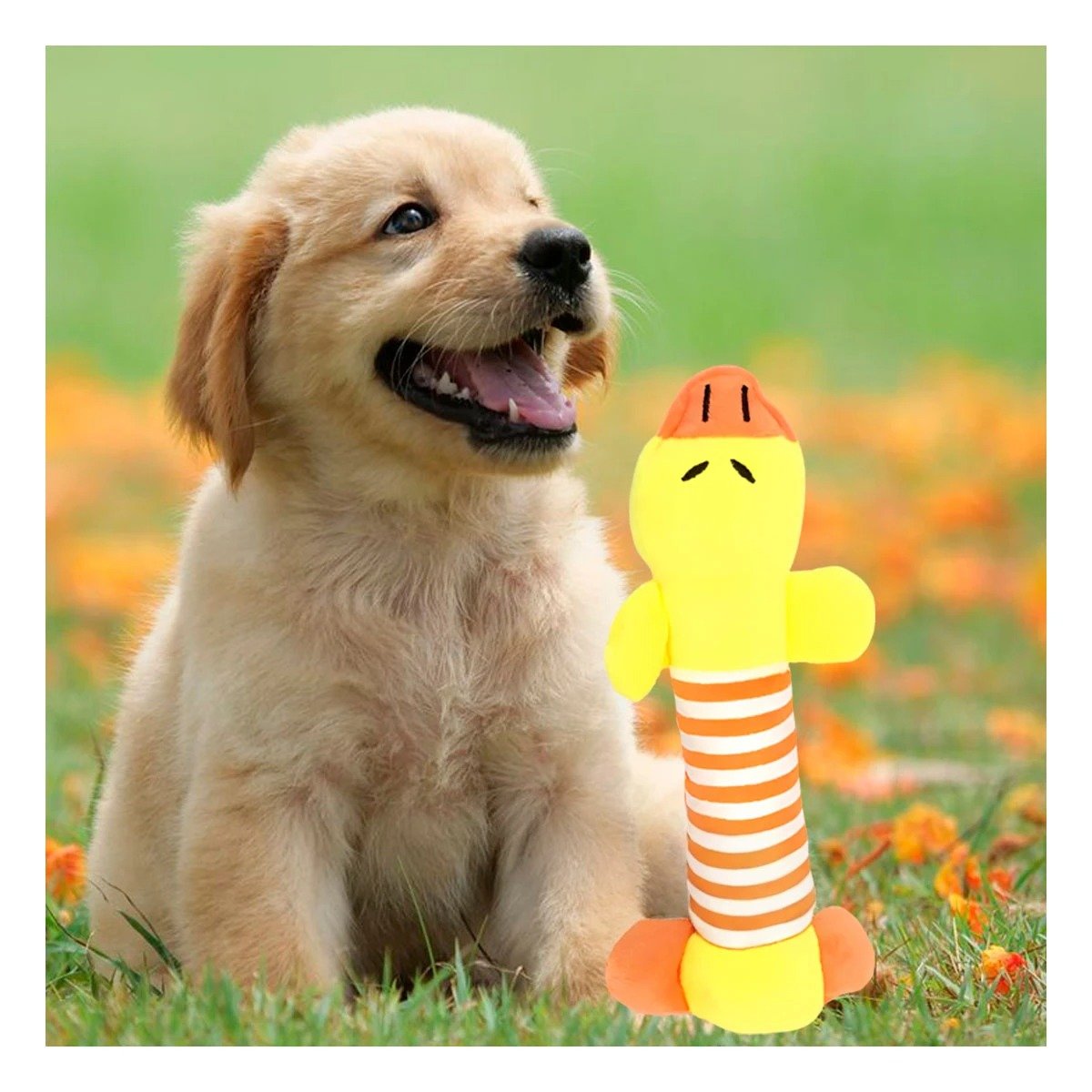 PACK6 TIERNO PATO PARA MASCOTAS CURIOSAS Y ACTIVAS AMARRILLO Y NARANJA - 3