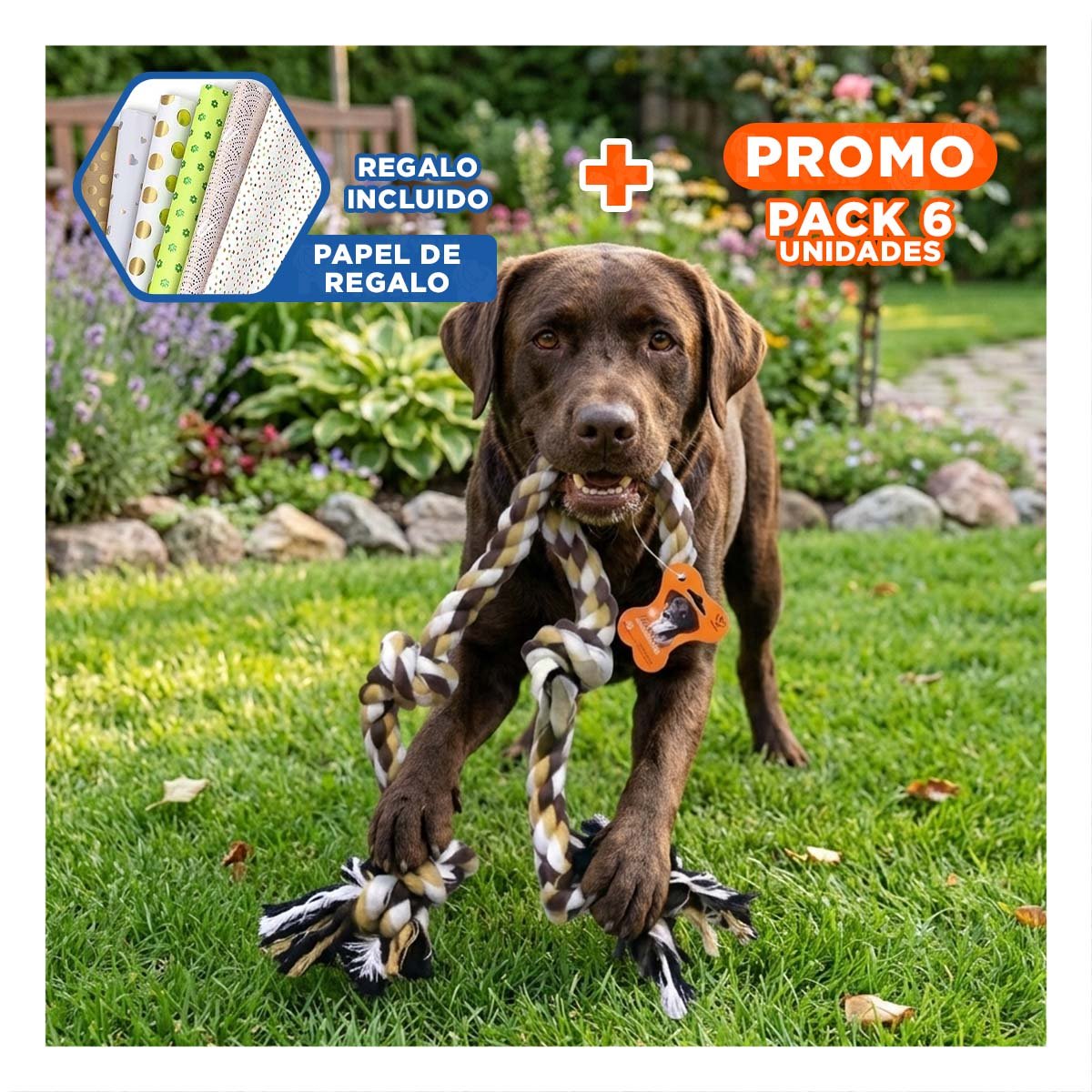 PACK6 TIRA RESISTENTE QUE SOPORTA TIRONES Y JUEGOS DE FUERZA MARRON Y+PAPEL REGALO - 1