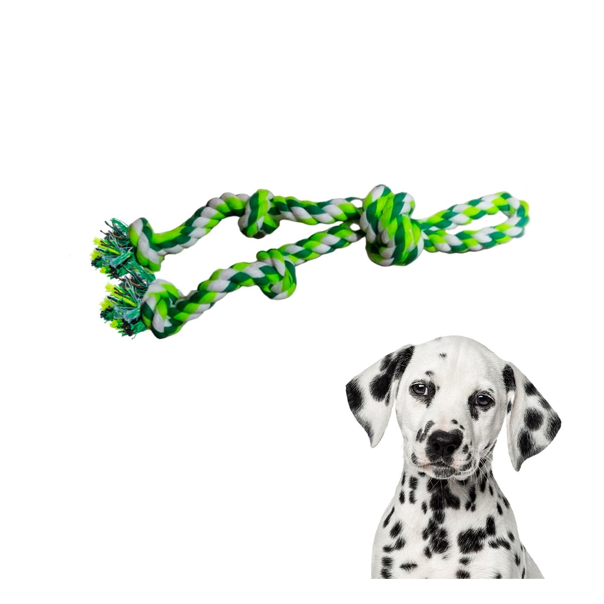 PACK4 CINTA QUE ENTRETIENE Y ESTIMULA ACTIVIDAD FISICA EN MASCOTAS VERDE Y+PAPEL REGALO - 3