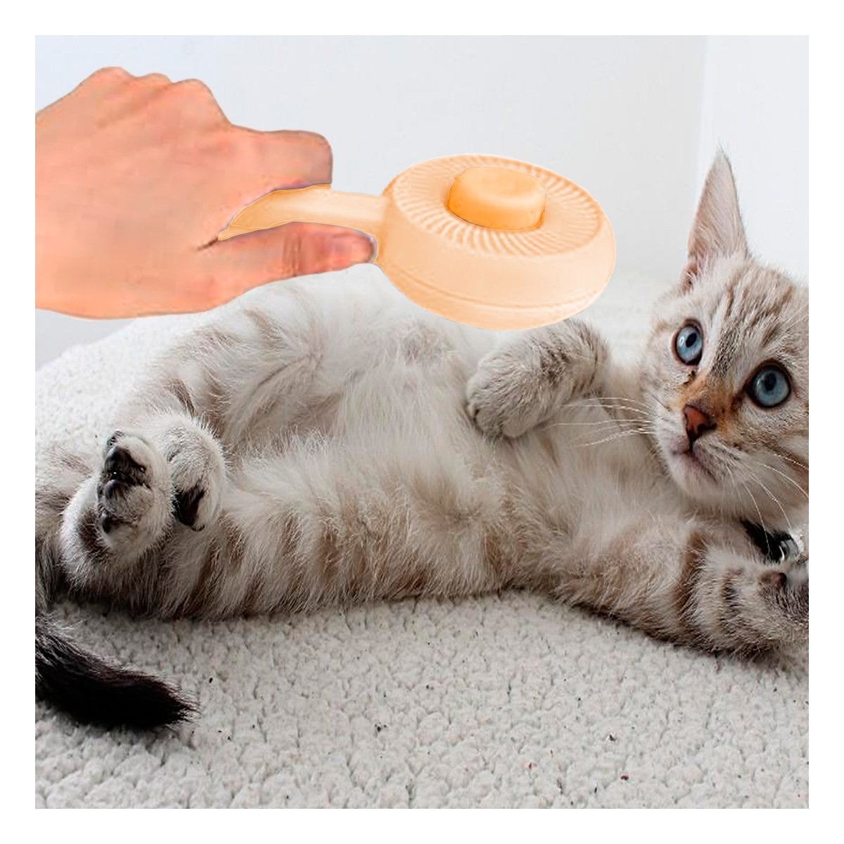 PACK6 APLICADOR RESISTENTE QUE FACILITA LIMPIEZA Y PROMUEVE RELAX NARANJA Y+PAPEL REGALO - 3