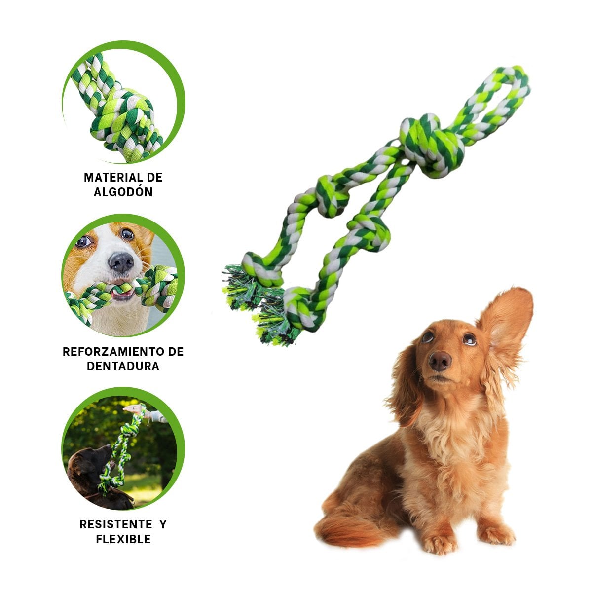 PACK6 TIRA DIVERTIDA QUE FORTALECE ENERGIA Y CUIDADO DENTAL VERDE Y+REGALO STICKER - 2