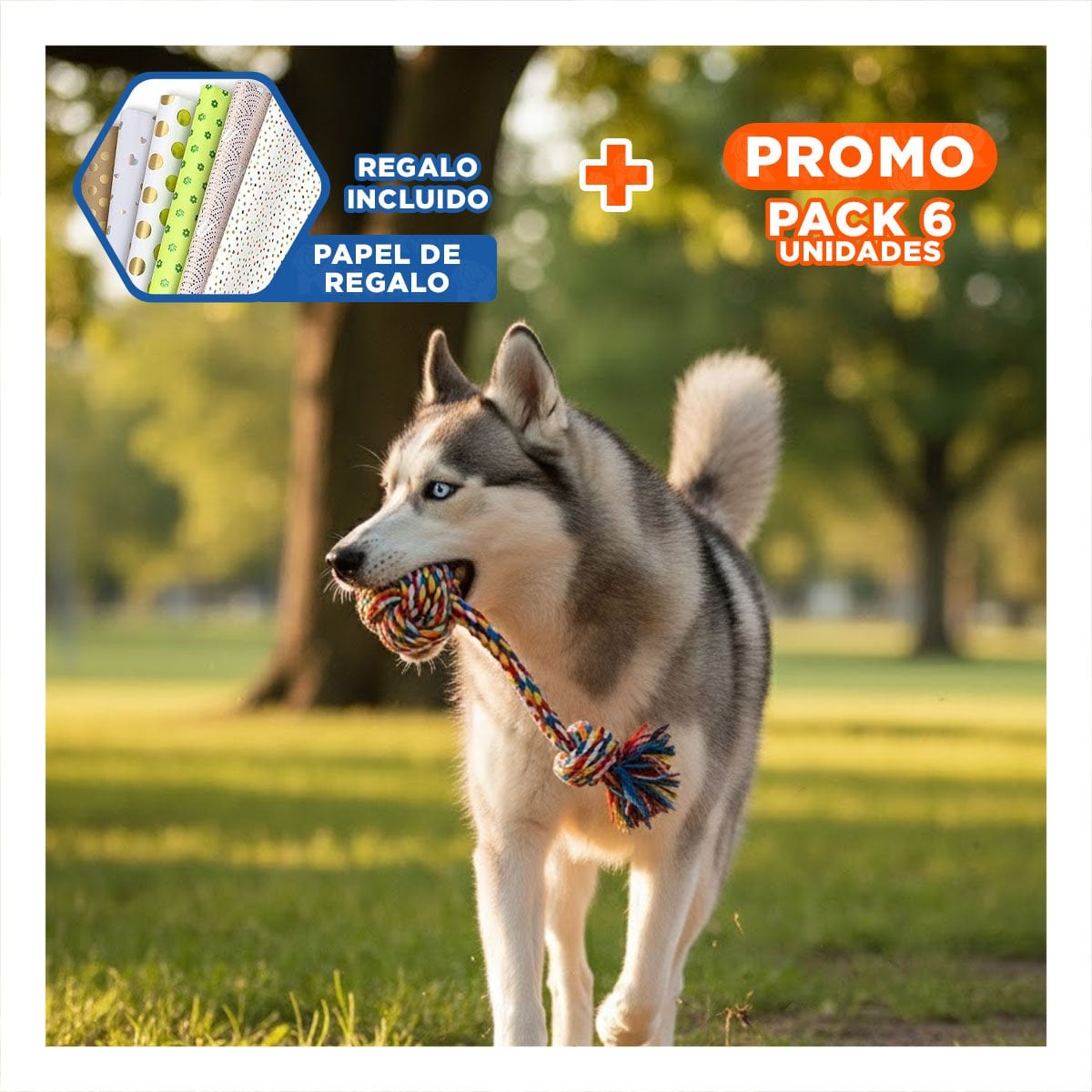 PACK6 OBJETO INTERACTIVO PARA PERROS CON AGARRADERA MULTICOLOR Y+PAPEL REGALO - 1