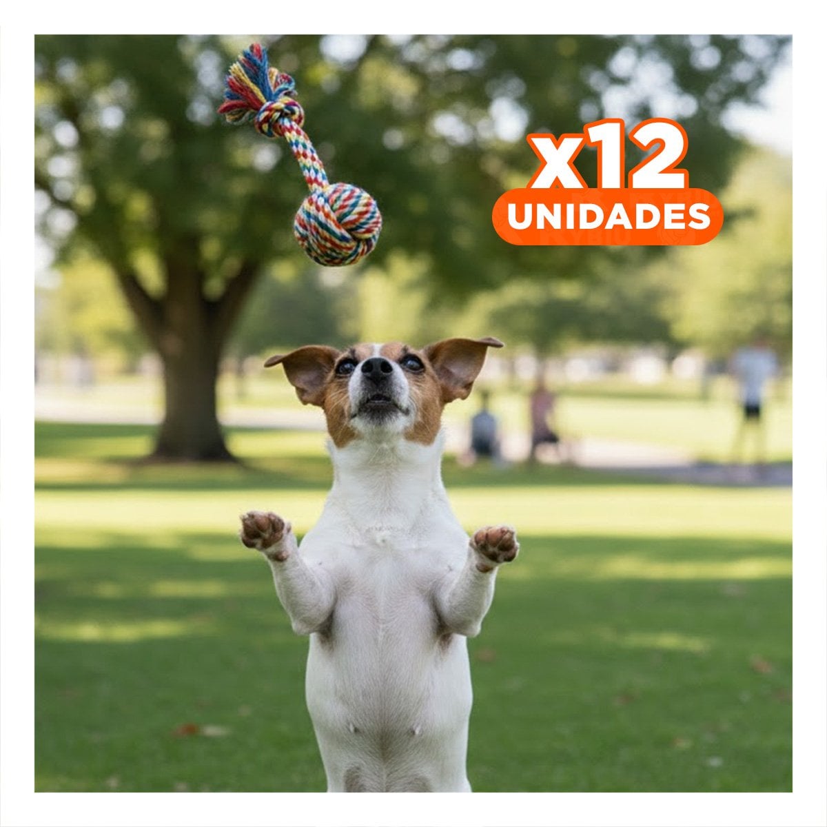 PACK12 OBJETO INTERACTIVO PARA MASCOTAS RESISTENTE Y PRACTICO MULTICOLOR - 1