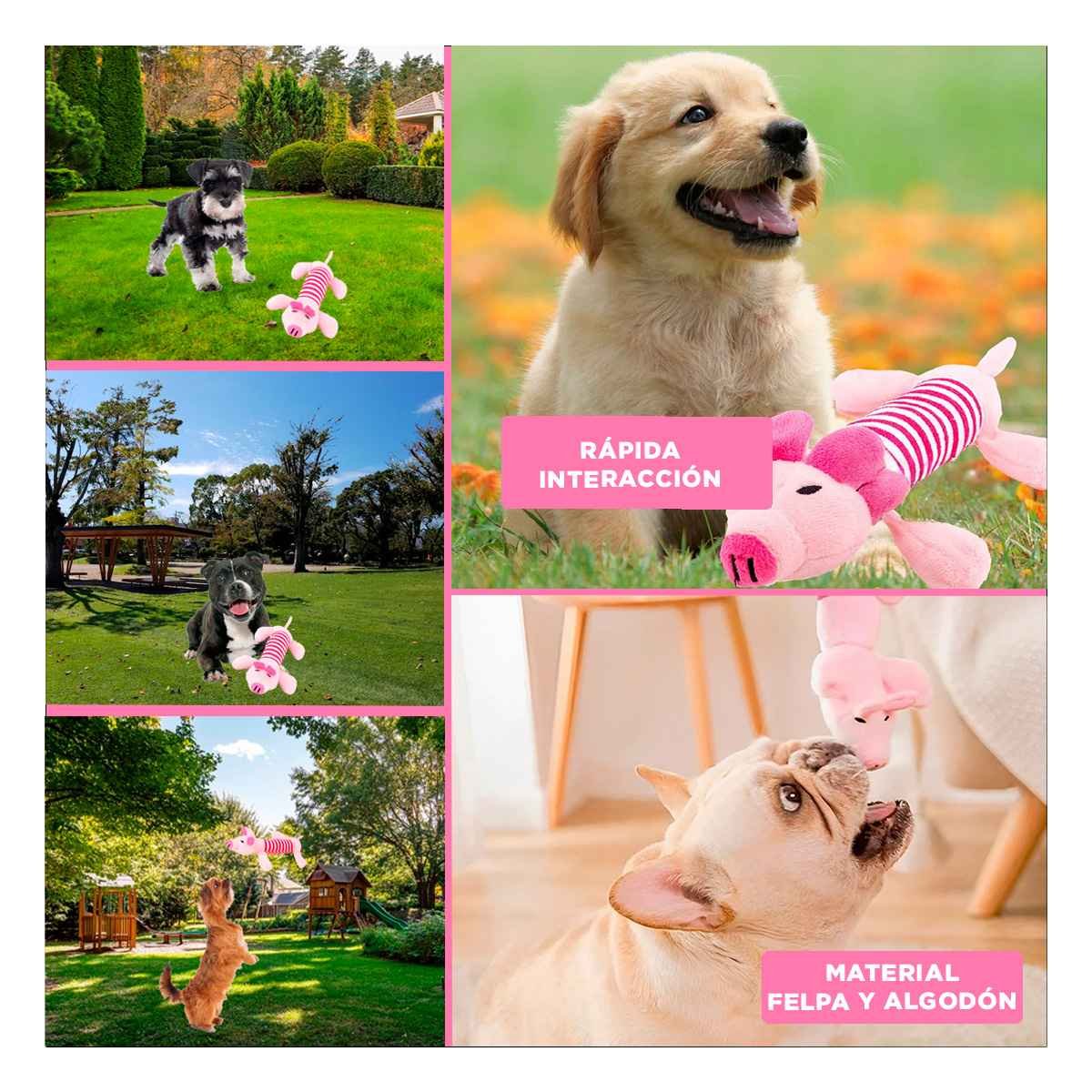 PACK6 COLEGA CHANCHO CON TELA SUAVE Y SEGURA ROSADO Y FUCSIA Y+PAPEL REGALO - 3