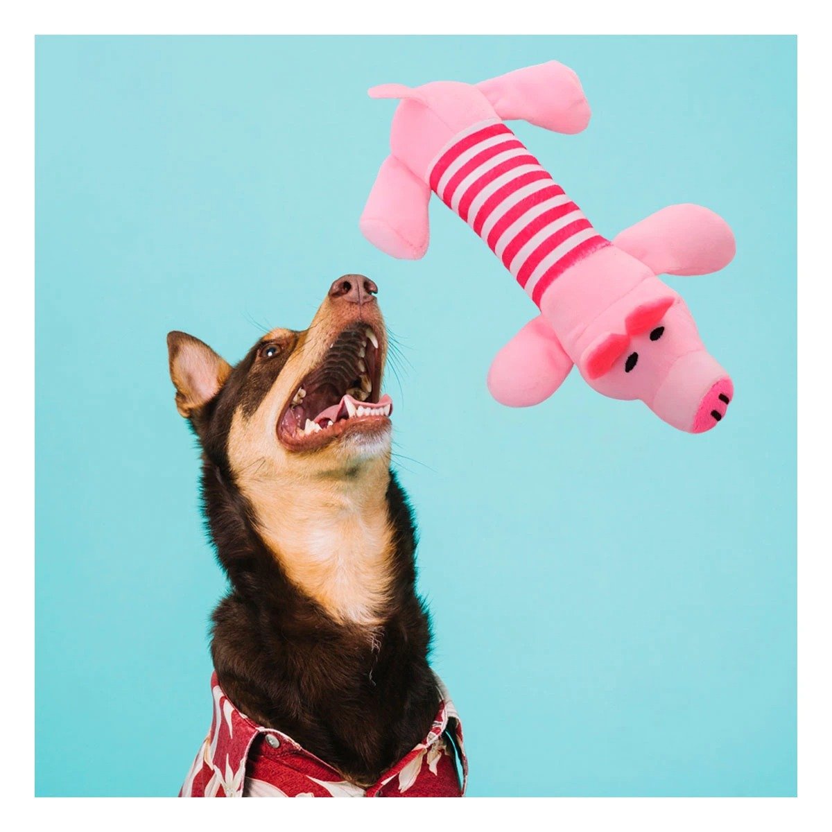 PACK6 COLEGA CHANCHO CON TELA SUAVE Y SEGURA ROSADO Y FUCSIA Y+PAPEL REGALO - 5