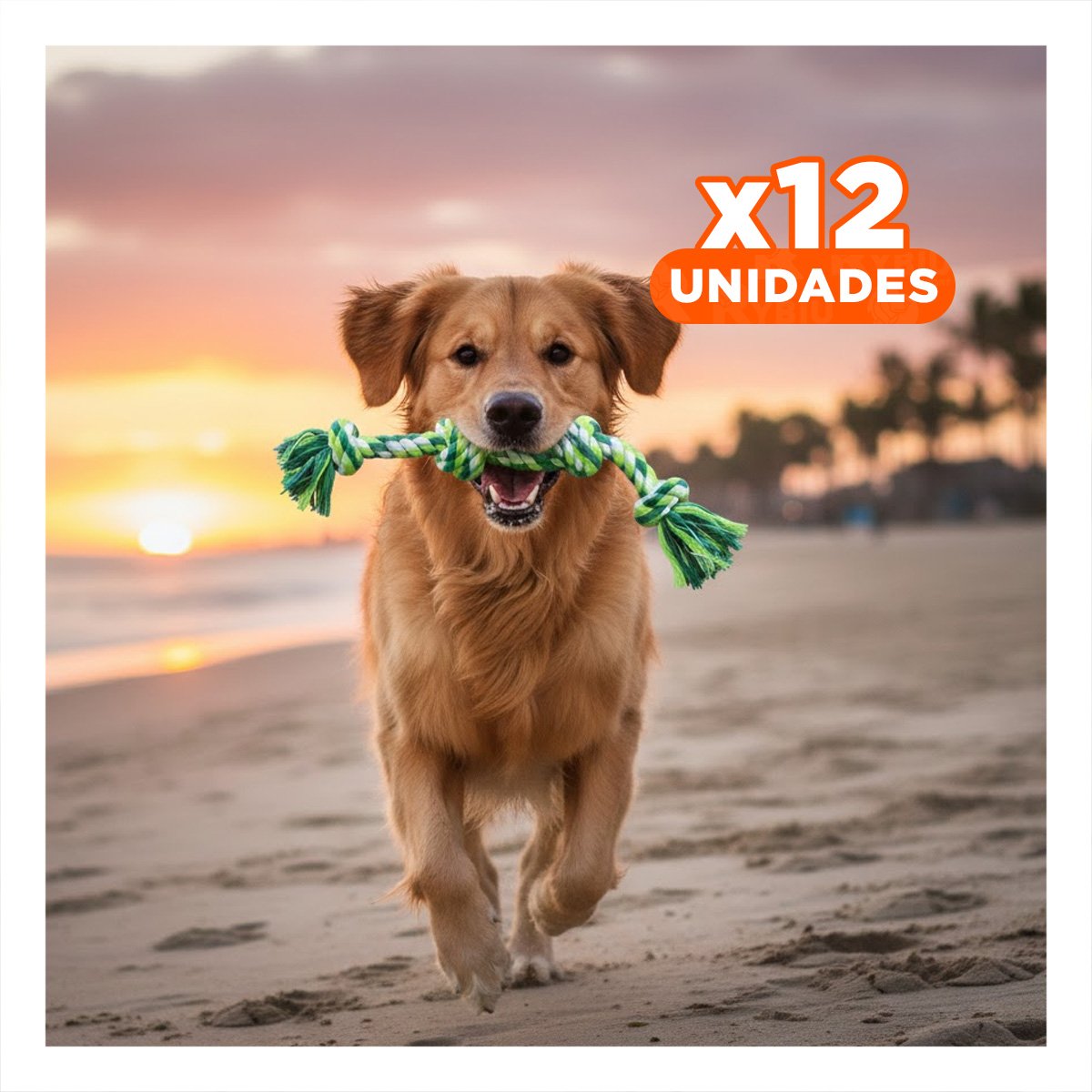 PACK12 TIRA QUE ENTRETIENE Y MEJORA FUERZA DE MASCOTAS VERDE - 1