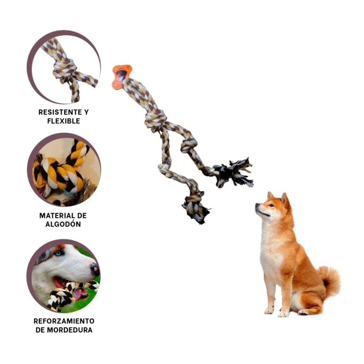 PACK6 TIRA DIVERTIDA QUE COMBINA ACTIVIDAD Y ENTRETENIMIENTO SEGURO MARRON Y+REGALO STICKER - 2