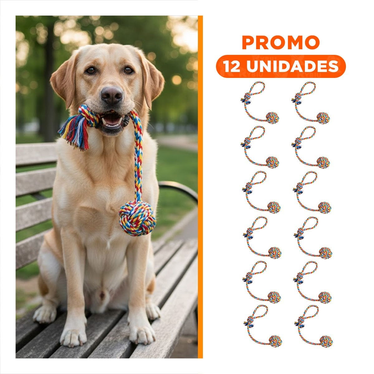 PACK12 COMPLEMENTO DE ACTIVIDAD CANINA PARA REDUCIR ABURRIMIENTO MULTICOLOR Y+REGALO STICKER - 1