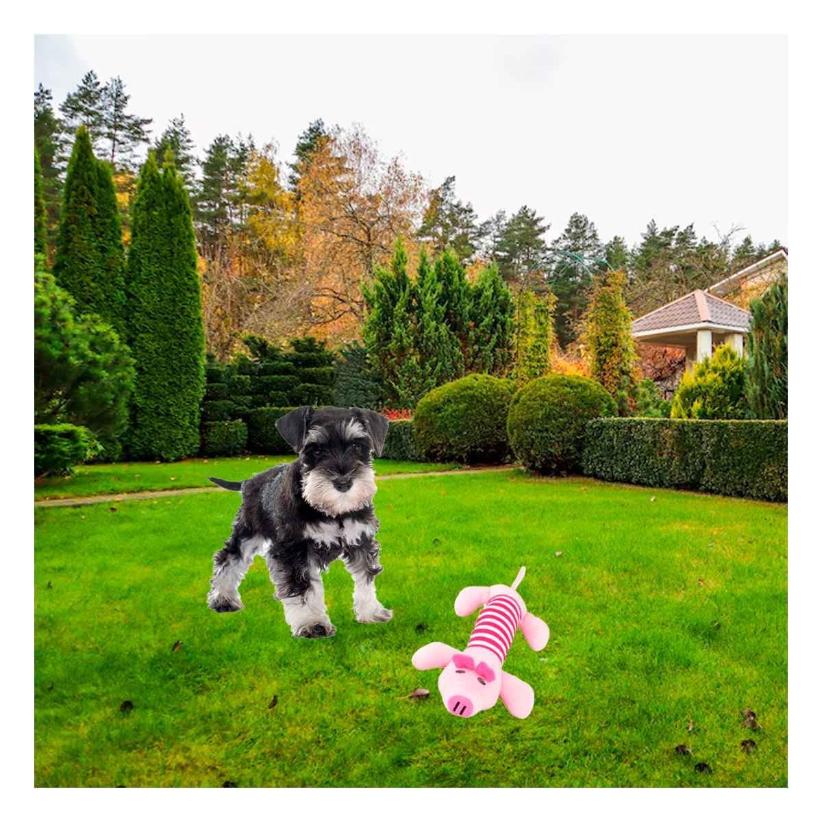 PACK2 ALIADO CHANCHO PARA MASCOTAS Y JUEGOS ROSADO Y FUCSIA - 5
