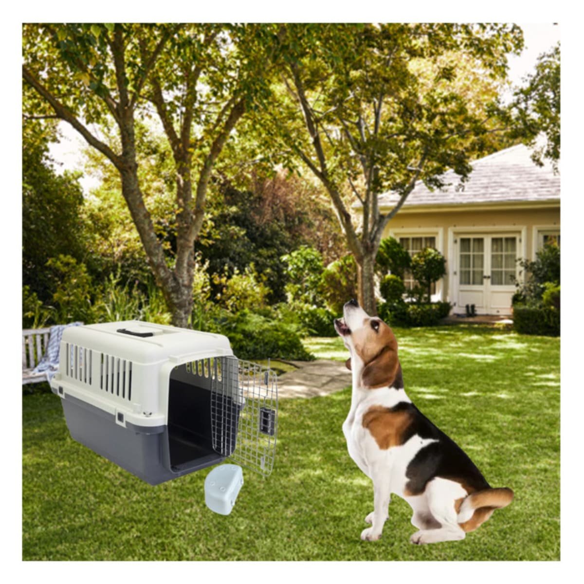 KENNEL PARA MASCOTAS CON VENTANAS Y ABERTURAS PLOMO OSCURO Y+PAPEL REGALO - 2