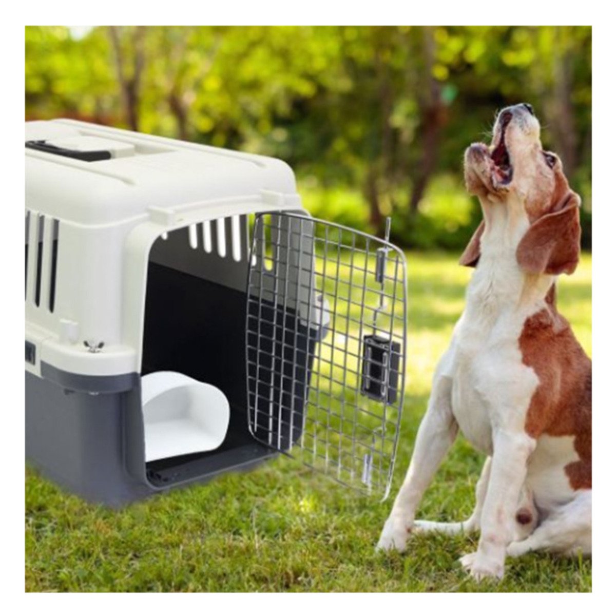 KENNEL PARA MASCOTAS CON VENTANAS Y ABERTURAS PLOMO OSCURO Y+PAPEL REGALO - 5