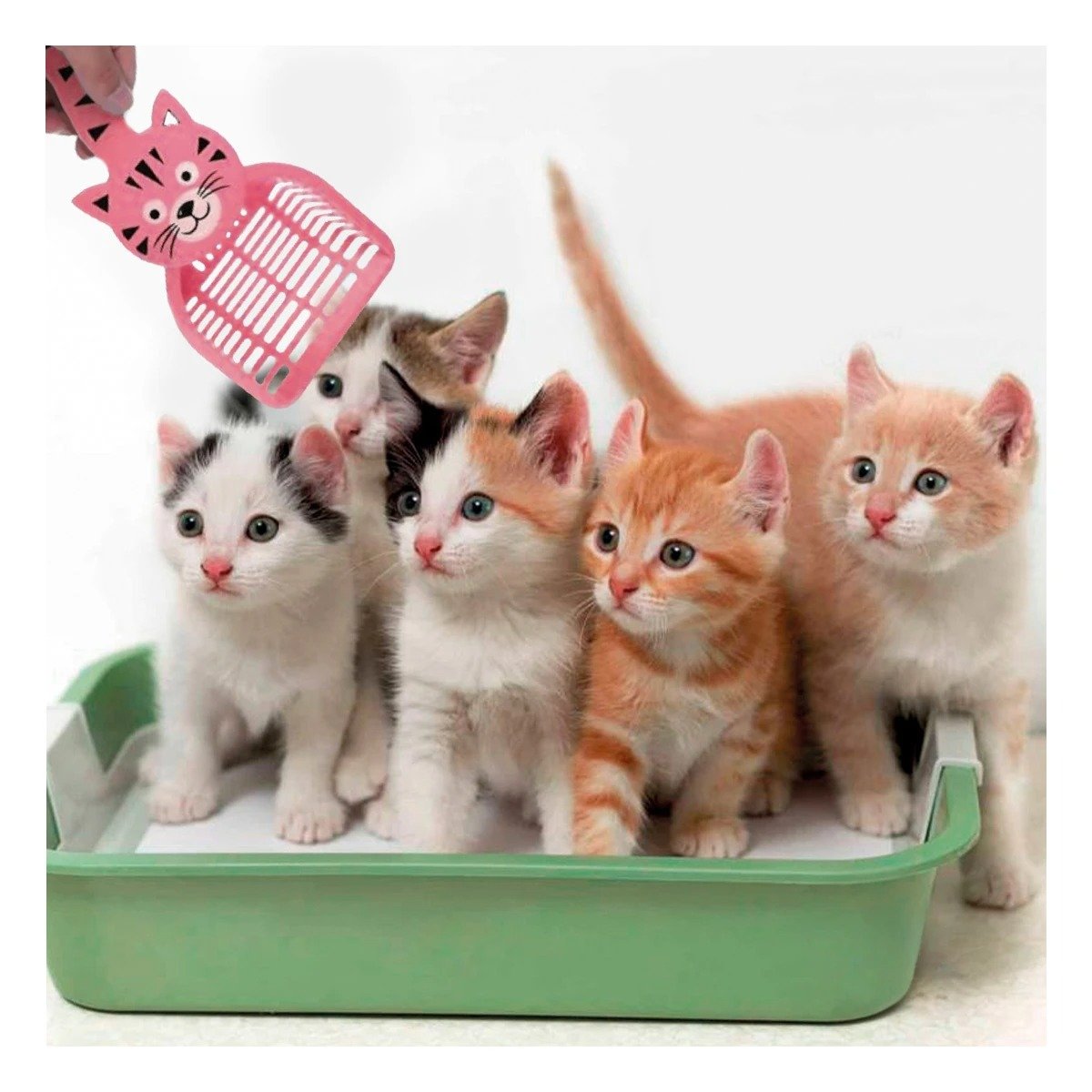 PACK12 IMPLEMENTO CARA DE GATO ROSADO PARA JARDIN Y HOGAR DECORACION FESTIVA - 3