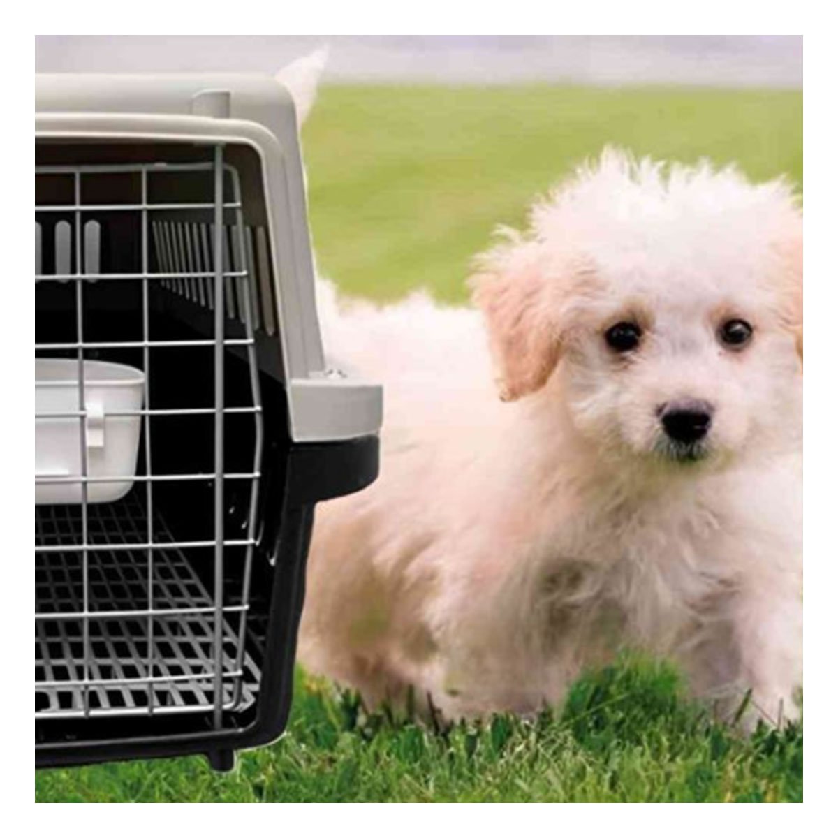 KENNEL QUE FACILITA VIAJES Y MANTIENE SEGURO A TU PERRO PLOMO OSCURO Y+REGALO STICKER - 2