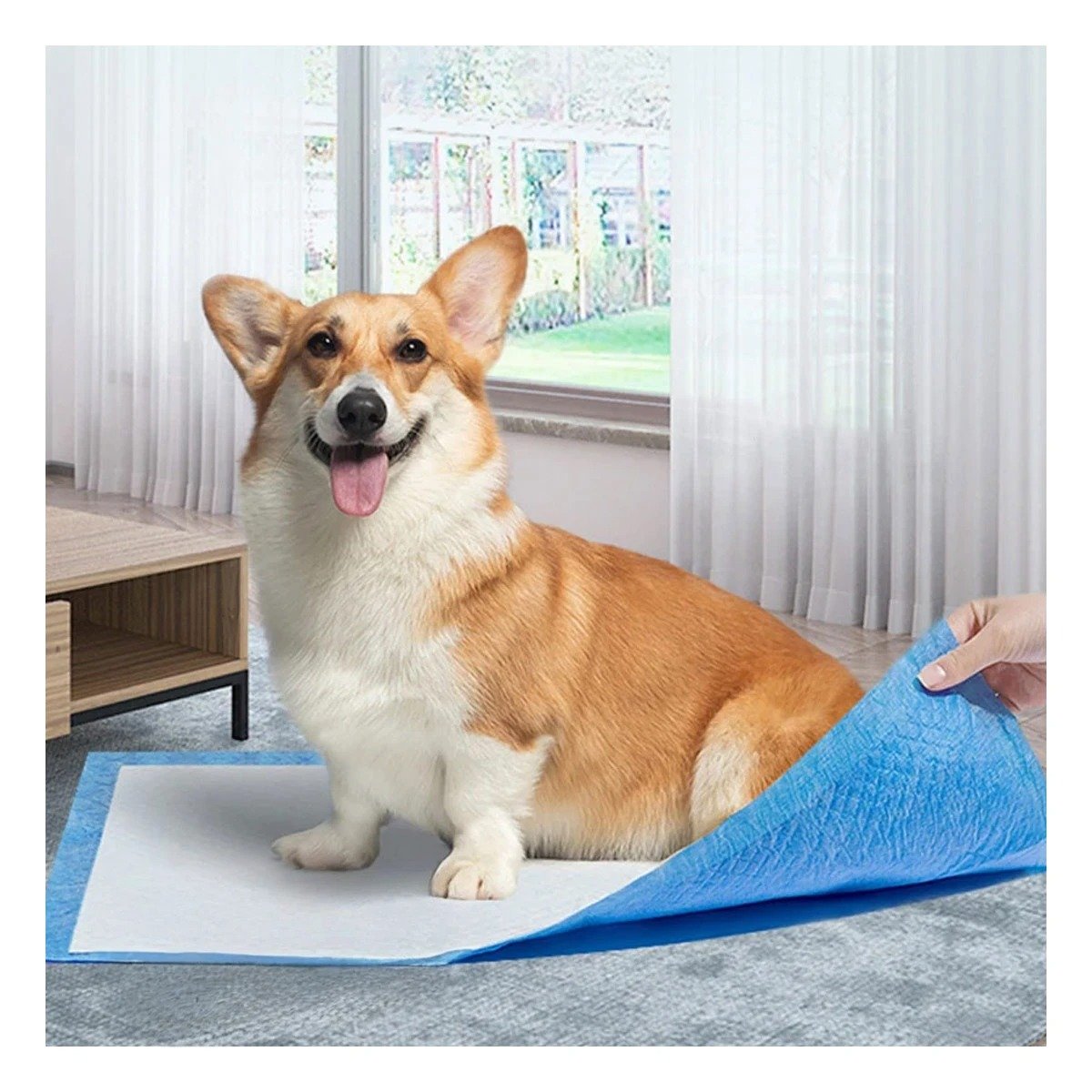 PACK6 TAPETE DE PISO 60X60 TALLA L CELESTE PARA MASCOTAS USO DIARIO EN CASA - 3