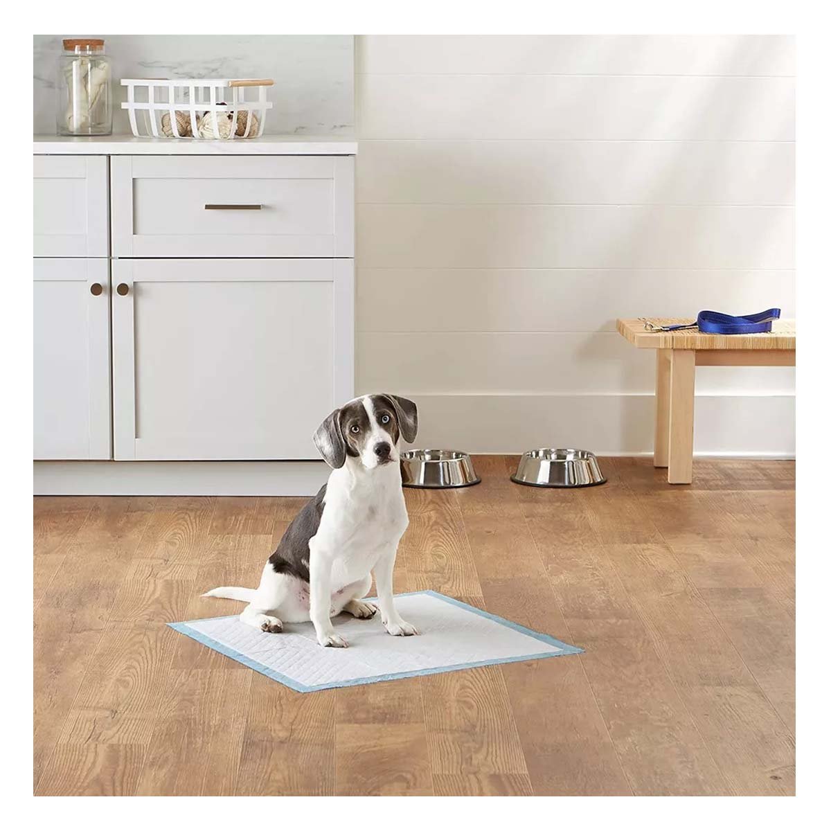 PACK6 TAPETE DE PISO 60X60 TALLA L CELESTE PARA MASCOTAS USO DIARIO EN CASA - 5