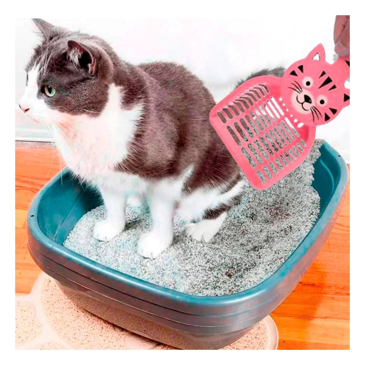 PACK4 ACCESORIO CARA DE GATO ROSADO PARA CASA Y JARDIN HOGAR NAVIDAD Y+PAPEL REGALO - 2