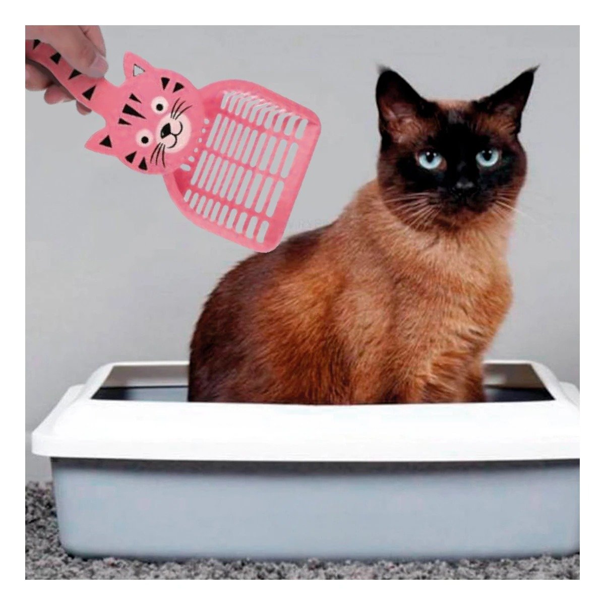 PACK4 ACCESORIO CARA DE GATO ROSADO PARA CASA Y JARDIN HOGAR NAVIDAD Y+PAPEL REGALO - 5