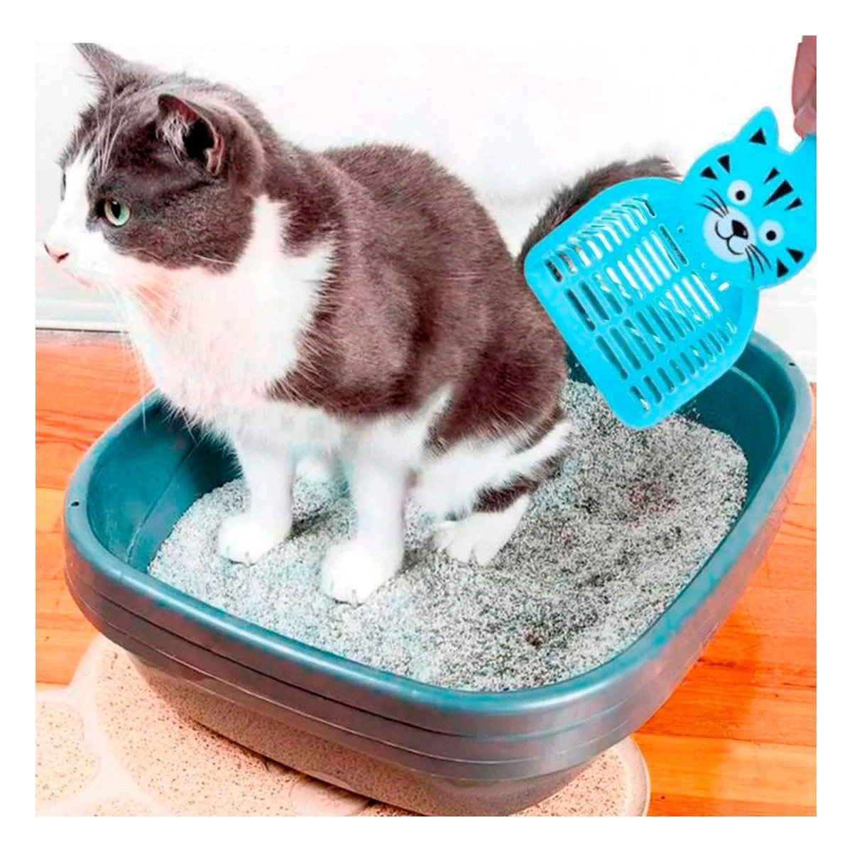 PACK4 UTENSILIO MULTIUSO CARA DE GATO AZUL PARA CASA Y LIMPIEZA BLANCO Y+REGALO STICKER - 3