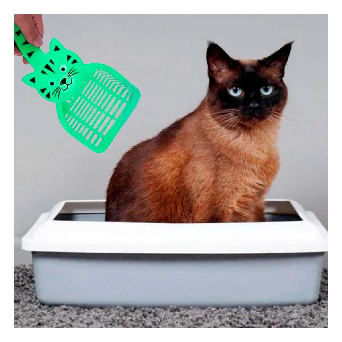 PACK4 HERRAMIENTA CARA DE GATO VERDE PARA JARDIN Y DECORACION HOGAR CASA - 2
