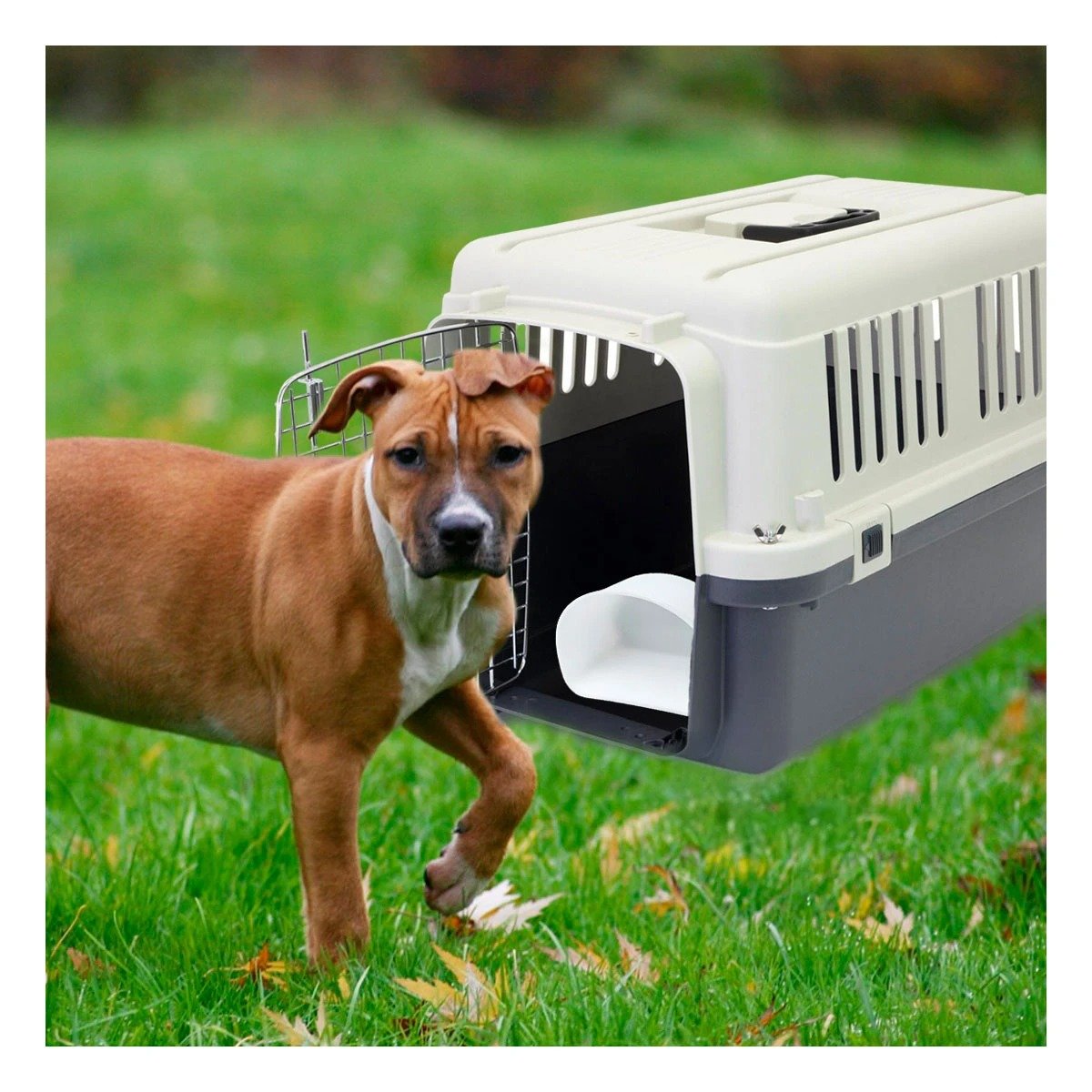KENNEL QUE PROTEGE Y FACILITA TRANSPORTE DE MASCOTAS PLOMO OSCURO Y+POST IT - 3