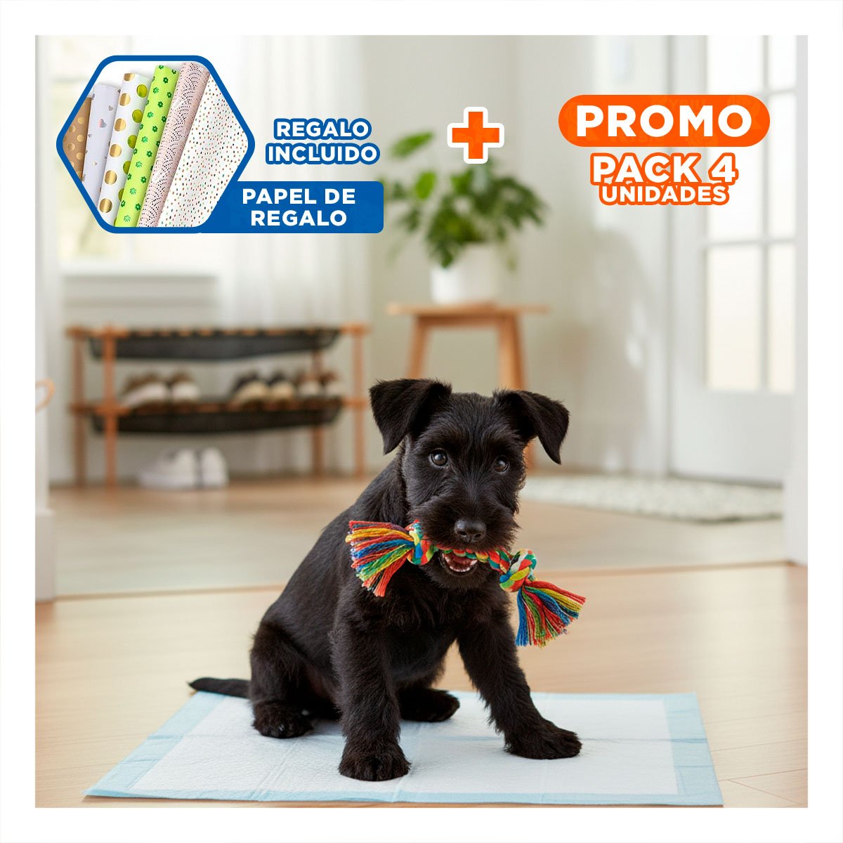 PACK4 IMPLEMENTO DE PISO 45X60 TALLA M PARA MASCOTAS HOGAR INTERIOR DIARIO Y+PAPEL REGALO - 1
