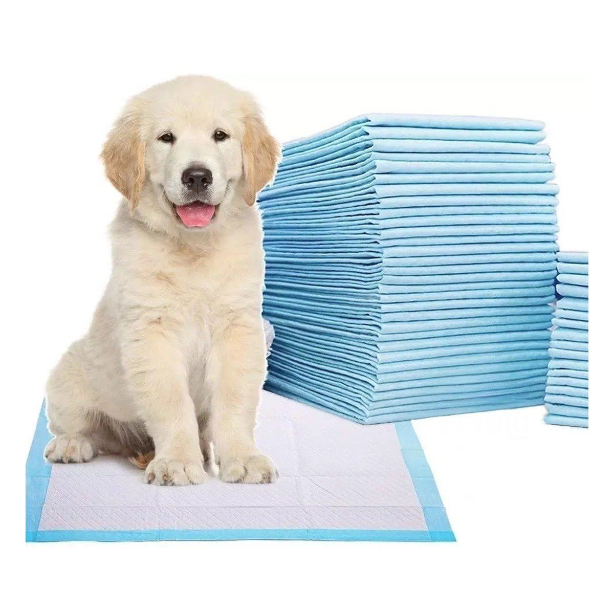 PACK4 IMPLEMENTO DE PISO 45X60 TALLA M PARA MASCOTAS HOGAR INTERIOR DIARIO Y+PAPEL REGALO - 3