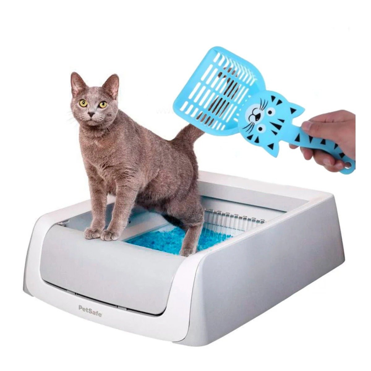 PACK6 PALA PORTATIL CARA DE GATO AZUL PARA LIMPIEZA Y CASA BLANCO Y+REGALO STICKER - 2