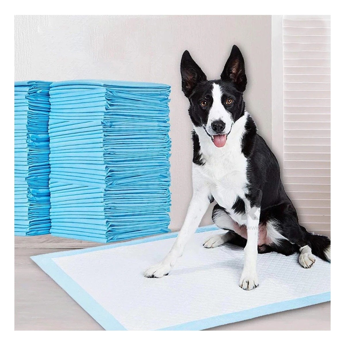 PACK6 ABSORBENTE PARA MASCOTAS 60X60 TALLA L CELESTE USO EN PISO INTERIOR Y+PAPEL REGALO - 2