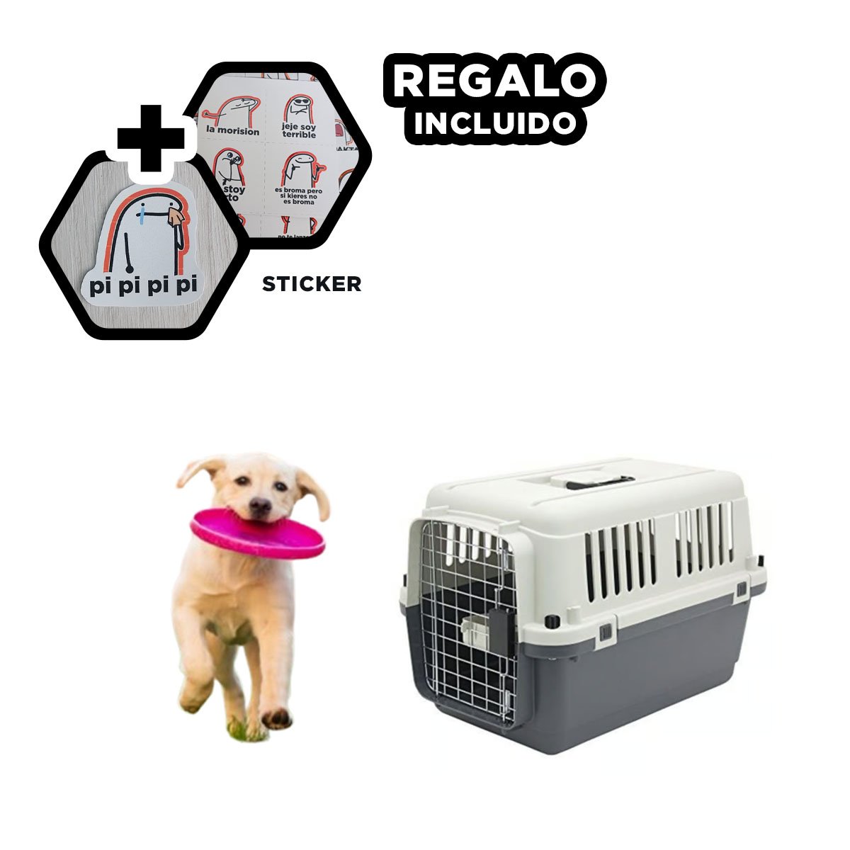 CONTENEDOR SEGURO PARA PERROS Y GATOS PLOMO OSCURO Y+REGALO STICKER - 1